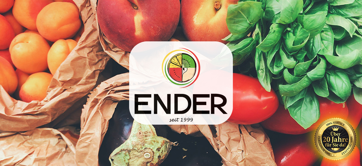 Ender GmbH
